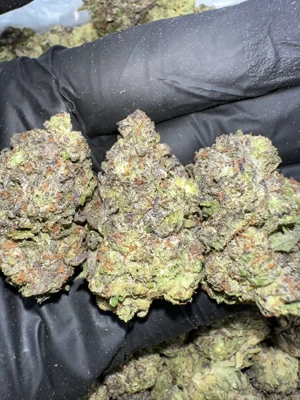 Nur Produkte der Spitzenklasse A ( #Gras #Koks #white powder ) & More