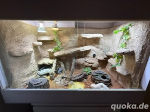 Terrarium 120x60x80cm