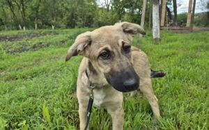 Hope blickt hoffnungsvoll in die Zukunft Bild 8