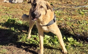 Hope blickt hoffnungsvoll in die Zukunft Bild 3