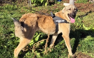 Hope blickt hoffnungsvoll in die Zukunft Bild 2