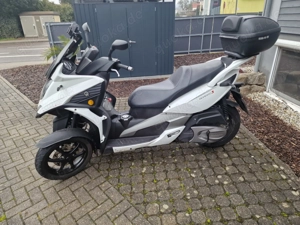 3 Rad Roller Quadro 3 zu verkaufen