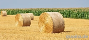 Rundballen-Stroh Gerste