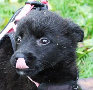 Sarina   voller Lebensfreude und Entdeckungslust