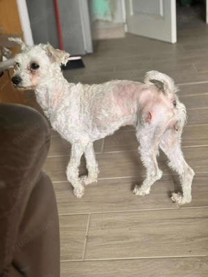 Unsere tapfere Snowby sucht ihr Happy End! 