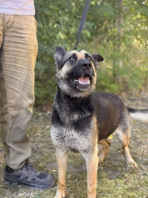 Hera - möchte Gitterstäbe gegen neues Leben tauschen