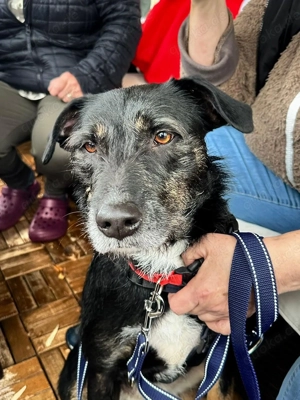 Auch für JUNA    soll ein Weihnachtsmärchen wahr werden 