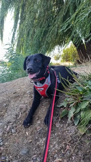 Freundlicher Justin liebt das Leben