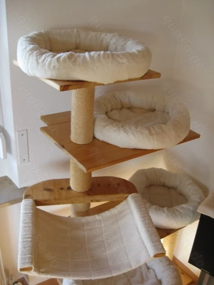 Kratzbaum aus Holz, Eigenbau, Tischlerplatte verleimt! Bild 4