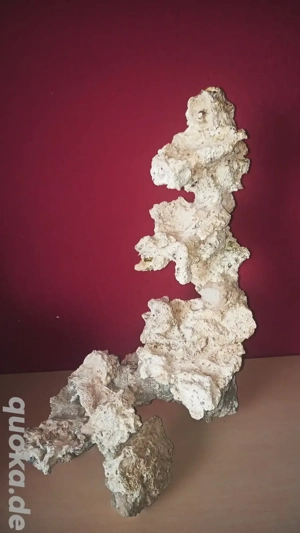 Meerwasser Riffsäule