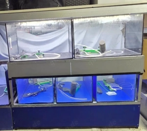 Aquarium Anlage für Börsen,Messen oder Zucht Bild 2