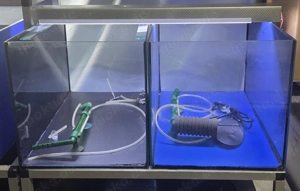 Aquarium Anlage für Börsen,Messen oder Zucht Bild 5