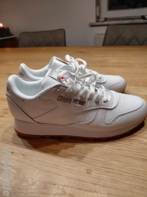 Reebok  classik neu Gr. 40