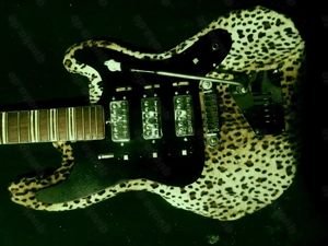 1964er Höfner Galaxie 176 E Guitar WILDCAT-Look Unika - SUCHE 60er E Git AMP Echo Phono HIFI TRÖDEL 