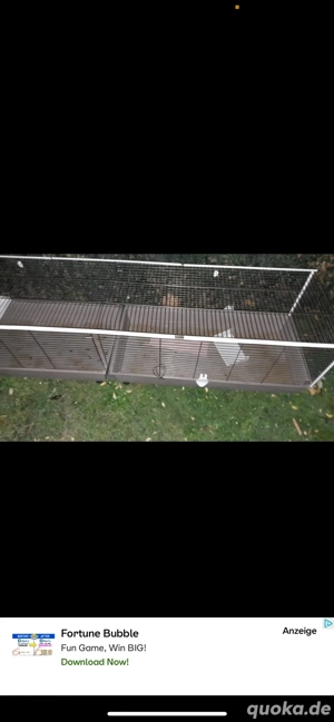 meerschweingehege  Bild 3