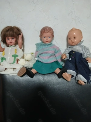 Schildkröte,Steif Schweine,Göbel,Schucco, und andere