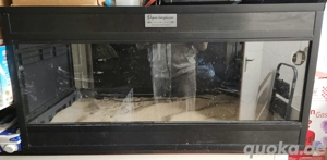 Terrarium Kunststoff schwarz 100x50x50cm - 52349 Düren