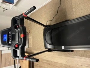 Laufband 3 Monate alt. 