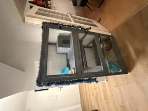 Chinchillas abzugeben.. 