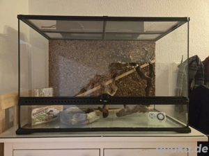 ExoTerra 90x45x60 inkl. Zubehör Terrarium