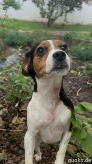 Yuna - alle guten Dinge sind drei