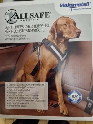 Allsafe Hundesicherheitsgurt