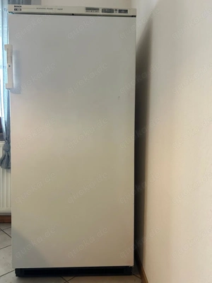 Bosch ***-Gefrierschrank economic-froster super (GSS2602 01)