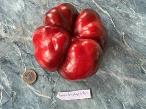 Paprika Samen verschiedene Sorten Bild 3