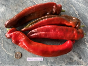 Paprika Samen verschiedene Sorten Bild 7