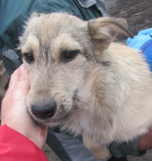 Inara im Wachstum   Das ruhige Seelchen