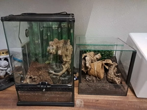 2 Terrarien zu verkaufen 