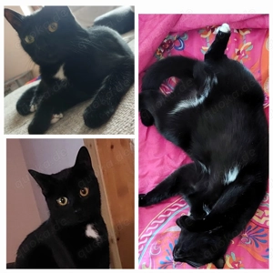 Hallo, ich bin die Maja