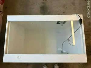 Terrarium Phytonking