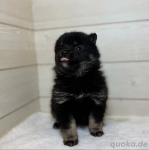 das wunderschöne Pommern