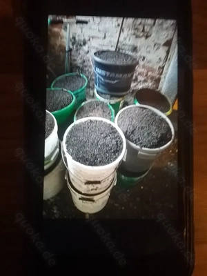 Fledermauskot super Dünger 