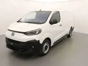 Fiat Scudo L3 Navi Kamera Holzausbau