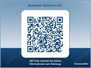 Leapmotor T03 37.3kWh Bild 3