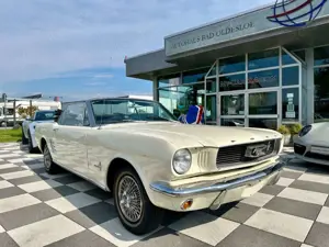 Ford Mustang Convertible Aut. 3.3l+Leder+Classic Data+Tüv Bild 4