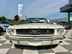Ford Mustang Convertible Aut. 3.3l+Leder+Classic Data+Tüv Bild 3