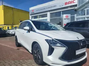 DFSK Others Forthing 4*7-Sitzer*Kamera*Leder*Panorama uvm.