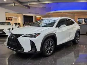 Lexus UX 300h F Sport Design ACC FLA SpurH LM