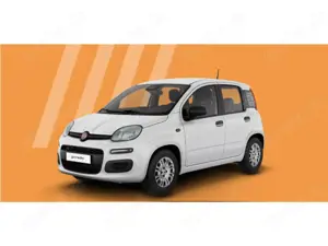Fiat Panda ICON 1.0 GSE Hybrid 51 kW (70 PS) Bild 2