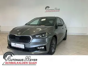 Skoda Fabia TSI 1.0 Tour+SHZ+LRH+Kamera+Keyless+