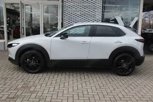 Mazda CX-30 M-Hybrid G-140 AT Nagisa *Sofort*Aktion* NAVI ACAA Bild 2