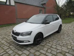 Skoda Fabia Style 1,2 TSI  Navi SHZ PDC LED DAB