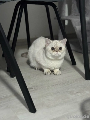 BKH karter 7Monate alt