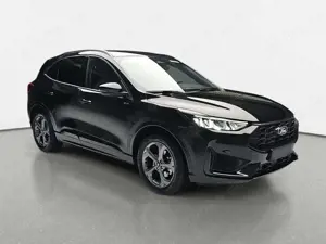 Ford Kuga Bild 3