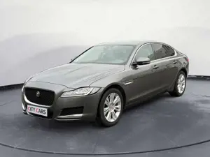 Jaguar XF Portfolio 3.0 V6 AWD Navi Kamera Xenon