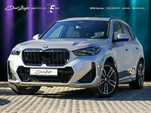 BMW X1 sDrive20i M-SportPRO 19" AHK GSD ACC HuD 360°