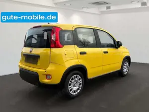Fiat Panda Pandina Hybrid MY25 70PS Bild 4